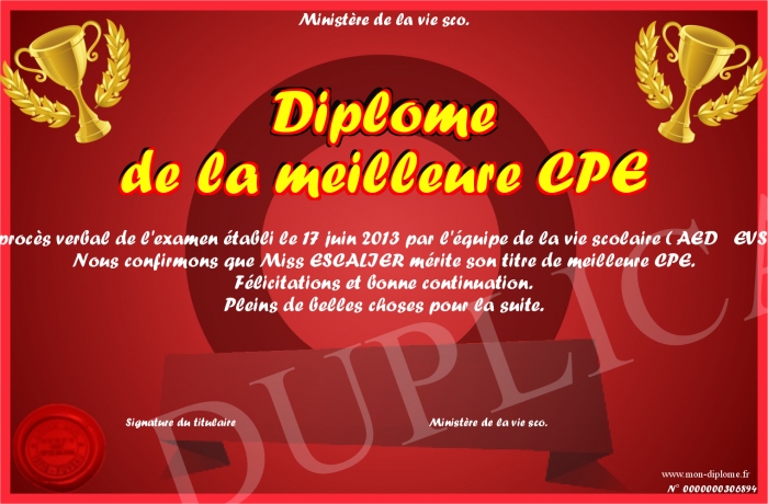 diplome pour etre cpe